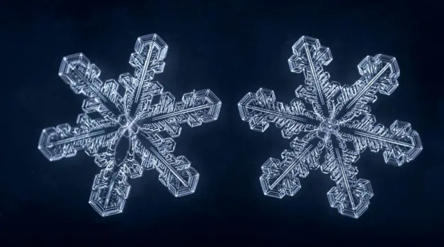 Dois flocos de neve lado a lado