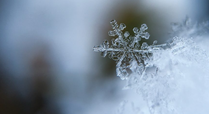 um floco de neve real com formas perfeitas.
