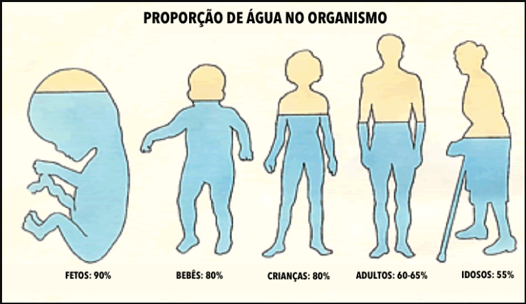 Imagem da proporção de água no corpo humano. Cada faixa etária tem uma porcentagem diferente.