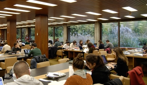 Imagem de pessoas estudando em uma biblioteca