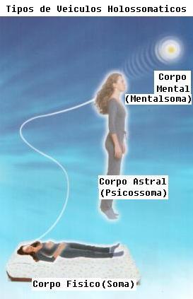 Tipos de veículos Holossomáticos