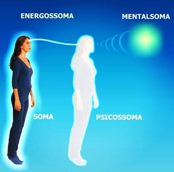 Imagem do holossoma - conjunto de todos os corpos de manifestação da consciência.